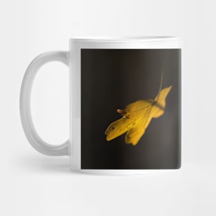 Autumn Leaf Mug